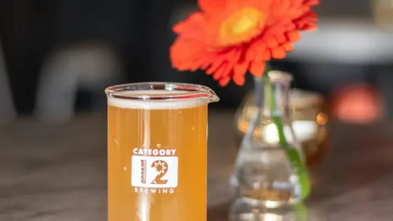Category 12 Brewing Inc