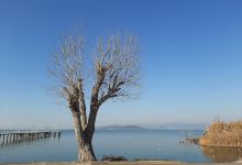 Cooperativa Pescatori del Trasimeno购物图片