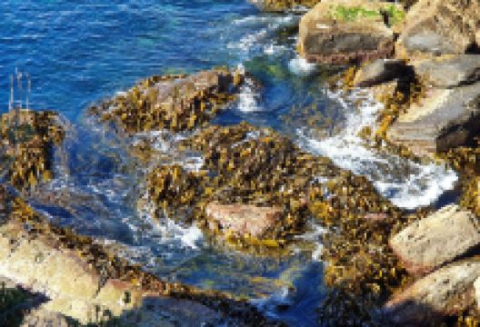 Fossil Bay Lookout景点图片