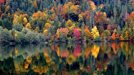 Barmsee