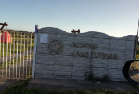 Acuario Lago Puyehue景点图片