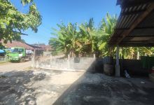 Wat Ban Lum Khao景点图片