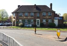 Green Leevs Garden Center and Interior Plants购物图片