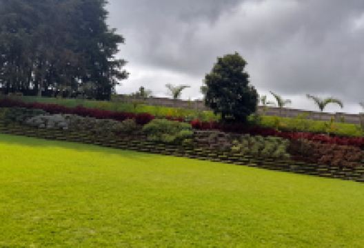 Severine Gardens Limuru景点图片