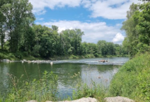 Sitzgelegenheit auf dem Baumstamm景点图片
