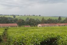 Kapkonyinyis AGC Church景点图片