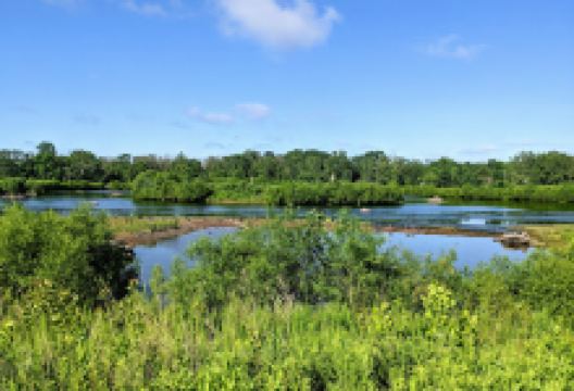 Wissahickon Waterfowl Preserve景点图片