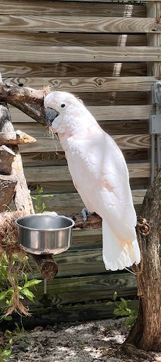 Theater of the Sea-伊斯拉莫拉达