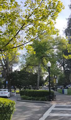 Healdsburg Plaza-希尔兹堡