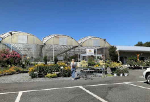 Esbenshade's Garden Centers & Greenhouse购物图片