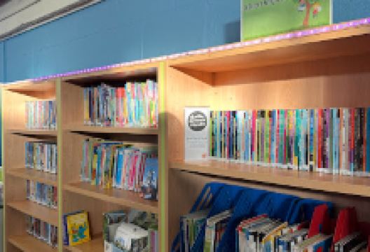 Newbridge Library景点图片
