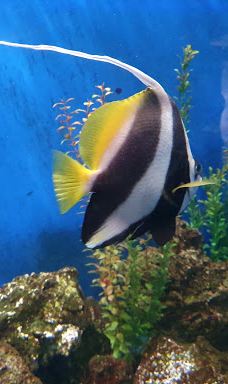 MORELIA ZOO ACUARIUM-莫雷利亚