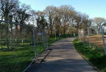 Harebell Playground景点图片