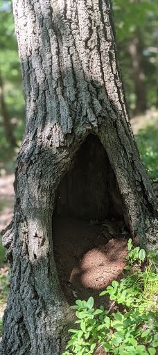 Mount Tom State Reservation-霍利奥克