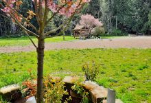 Marguerite Brons Memorial Park景点图片
