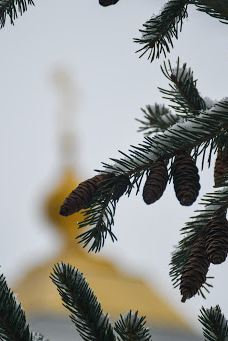 Sviato-Uspenskyi Arkhiiereiskyi sobor, Podilska tserkva-Zhytomyrs'ka city council