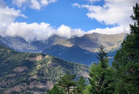 Bosc dels Menairons景点图片