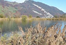 Eichiried Alpnach景点图片
