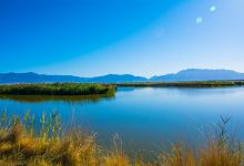Ogden Bay Waterfowl Management Area景点图片