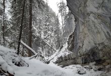 McGillivray Creek景点图片