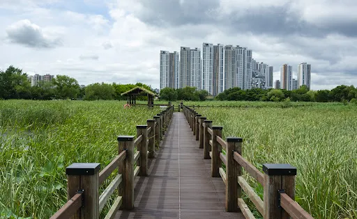 安山蘆葦濕地公園