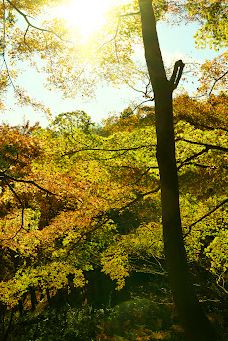 河内藤园-北九州