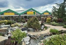 Baumschule Hammer景点图片