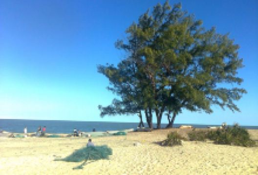 Beira Cathedral景点图片