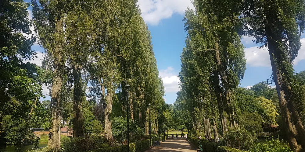 永安旅遊