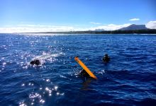 Sea-Urchin Diving Center景点图片
