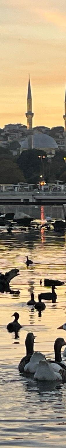 伊斯坦布尔港-伊斯坦布尔