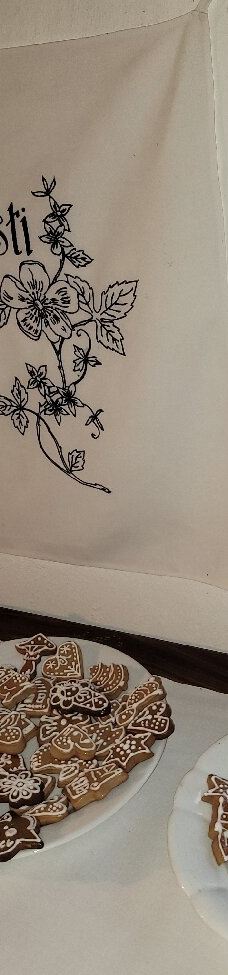 Wallachian Open Air Museum-罗斯诺夫·波德·拉德霍斯滕