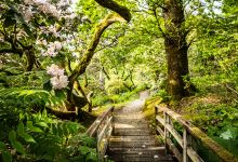 Ardkinglas Woodland Garden景点图片