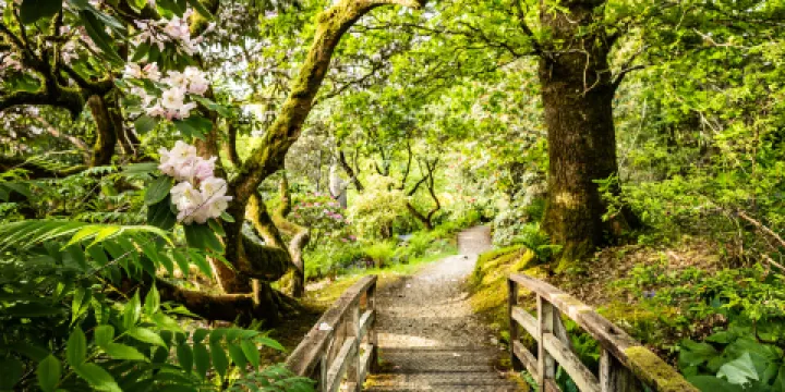 Ardkinglas Woodland Garden