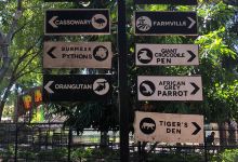达沃鳄鱼公园景点图片