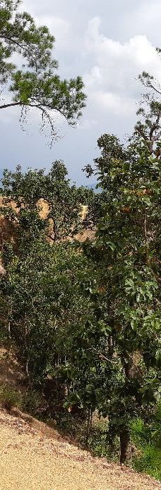 拜县大峡谷-拜县