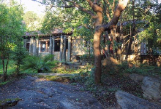 Popham's Arboretum景点图片