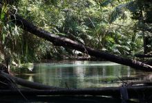 Alexandra Bay Waterfall景点图片