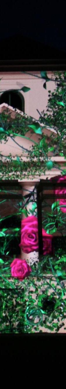 Mures-Bréda Castle-勒克什哈佐