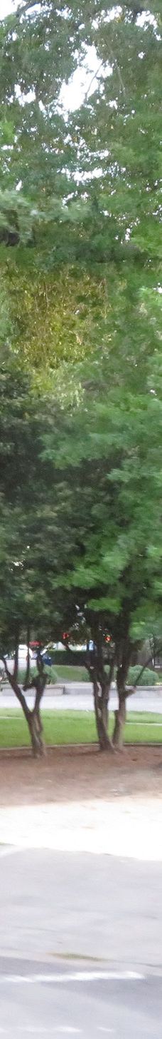 Healdsburg Plaza-希尔兹堡