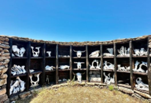 Faia Brava景点图片