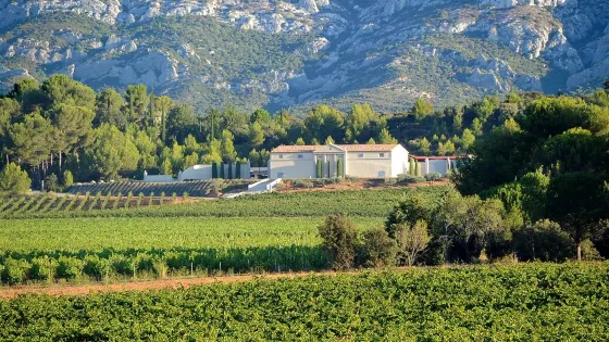 Chateau Gassier