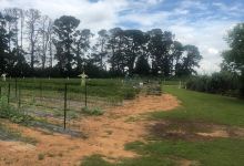 Huntley Berry Farm景点图片
