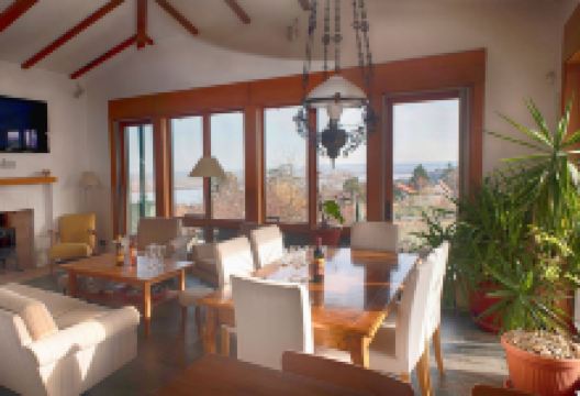 Plavinci Organic Winery景点图片