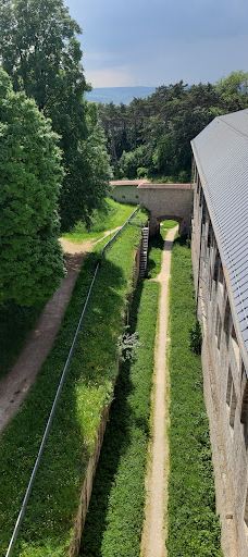 Wilhelmsburg-乌尔姆