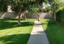 Rolland C. Starn Memorial Park景点图片