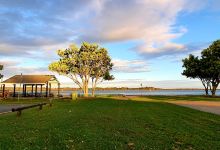 Cabbage Tree Point景点图片