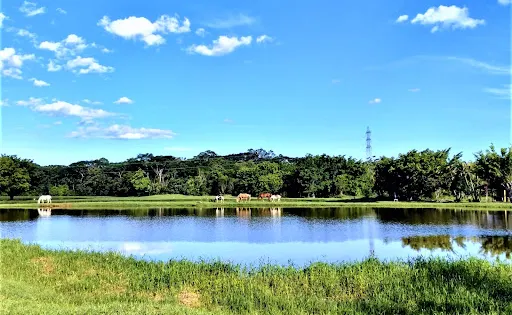 Parque Aguas Claras
