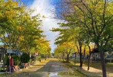 Camping El Paraiso Hormigos Toledo景点图片