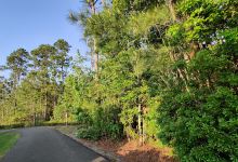 Westgate Nature Park景点图片